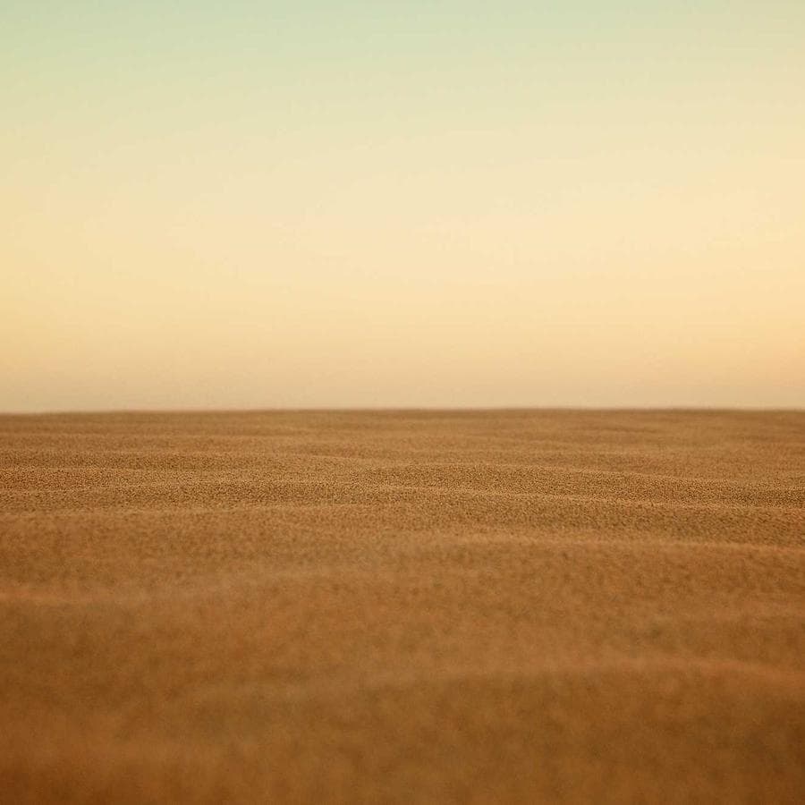 Dendrophthoe falcata